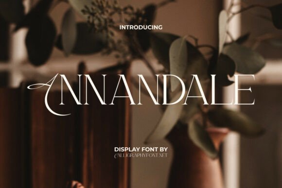 Elevate Brand Visuals with Annandale Display Fonts