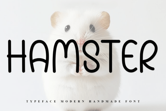 Hamster: A Playful Display Font for Handmade Brands